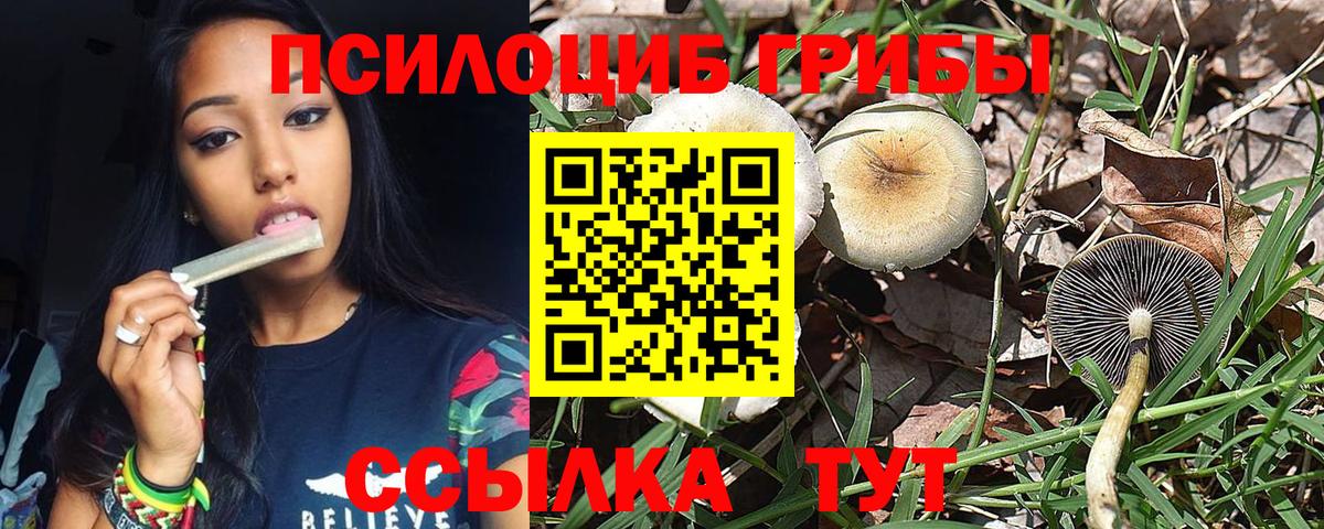 Меф мяу мяу Тавда